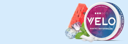 The Rise of Nicotine Pouches: A Safer, Modern Alternative to Tobacco